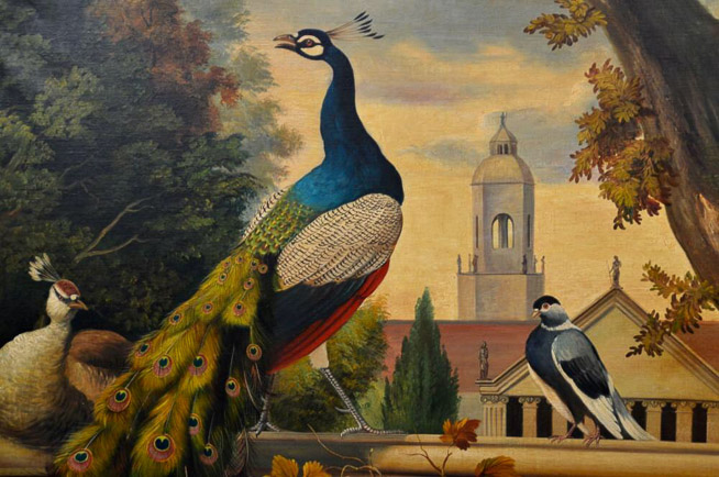 039c - Extraordinary Monumental 19th Century Scenic Oil on Canvas with Peacock, Birds, Various Fruits and Architecture , Artist Signed App. 5 Feet Height , 4 Feet Width-28