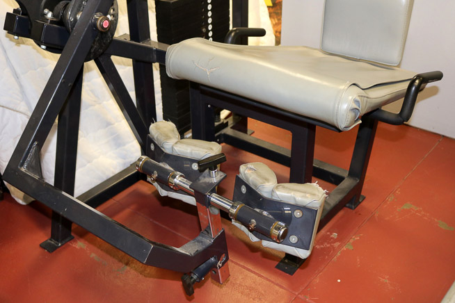 276c - Trotter Leg Extension from Dwight's Private Gym